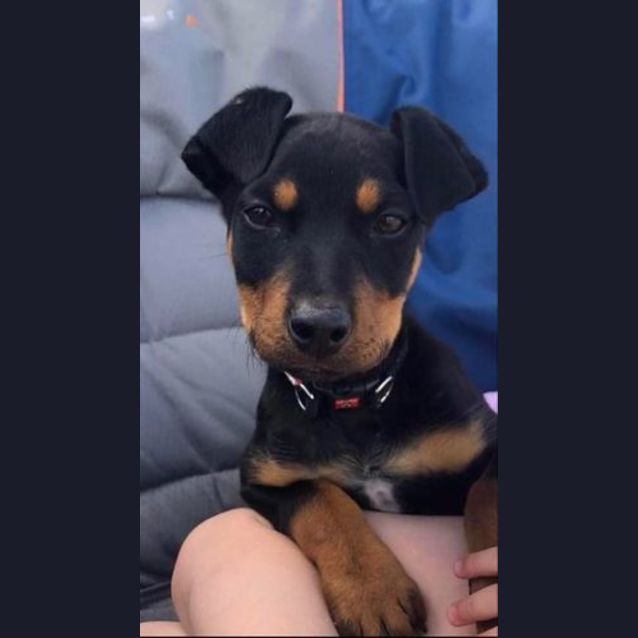 Photo of Jet