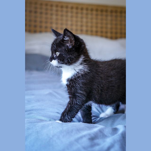 Photo of Mumma Salem & Baby Bea