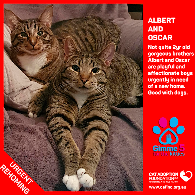 Photo of Albert And Oscar