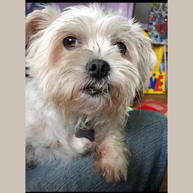 Photo of Rosie And Lillie