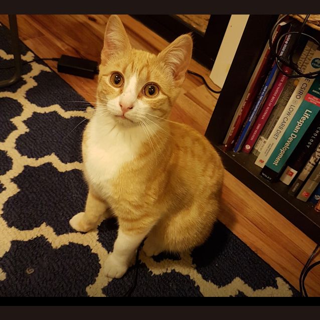 Photo of Bruce