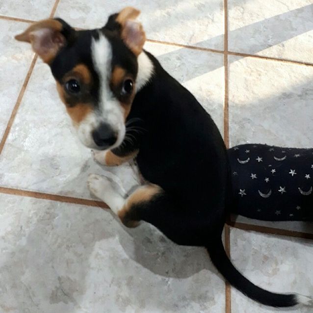 Photo of Finn