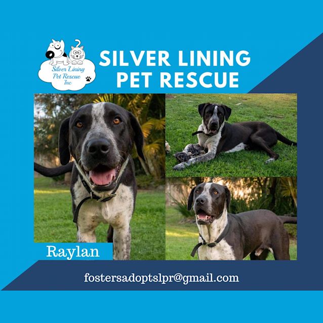 Photo of Raylan