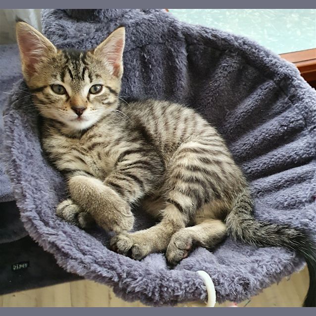 Photo of Missy