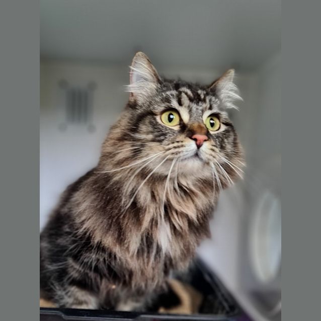 Photo of Lizzy