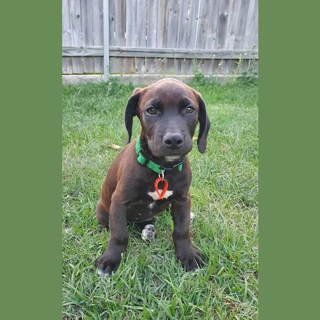 Photo of Billy