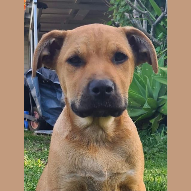 Photo of Bubbles 🐢