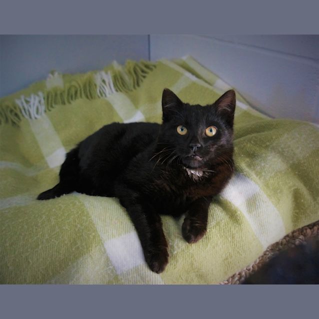 Photo of Finnegan