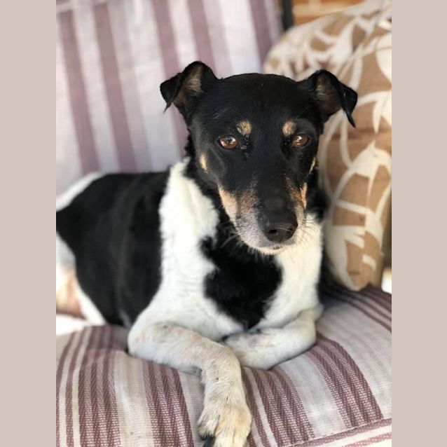 Photo of Dora 🧸️