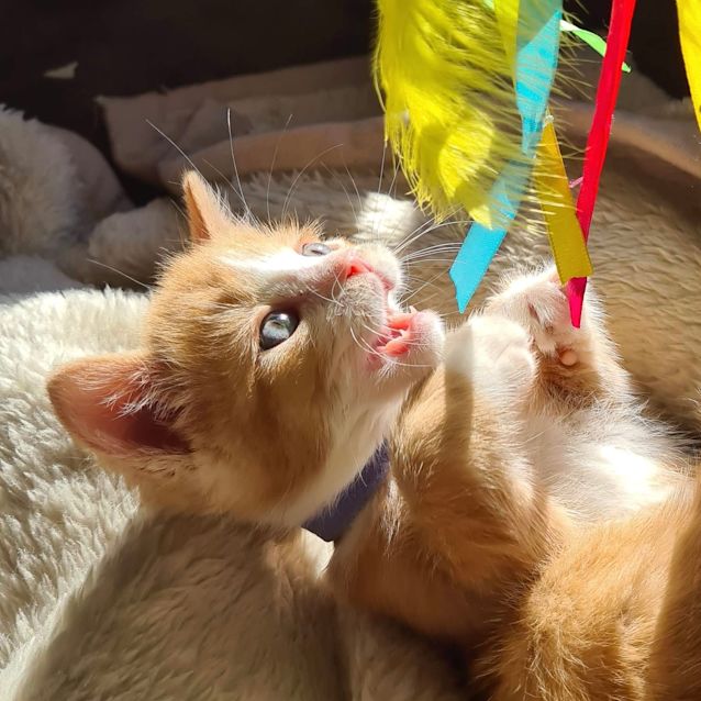 Photo of Clancy 🐛