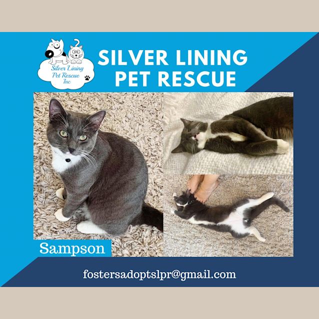 Photo of Sampson