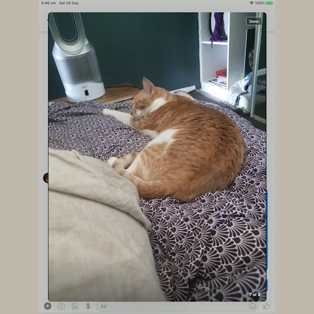 Photo of Pixel