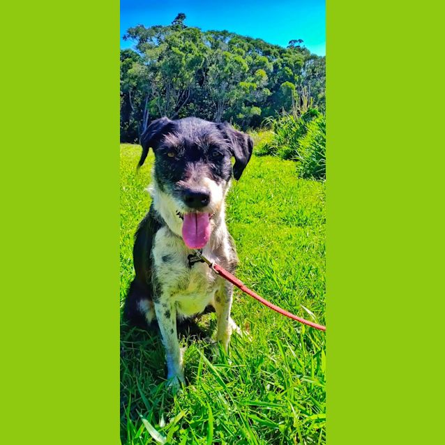 Photo of Lulu