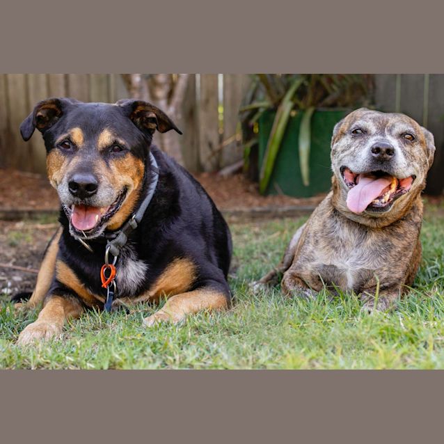 Photo of Benjamin & Chloe