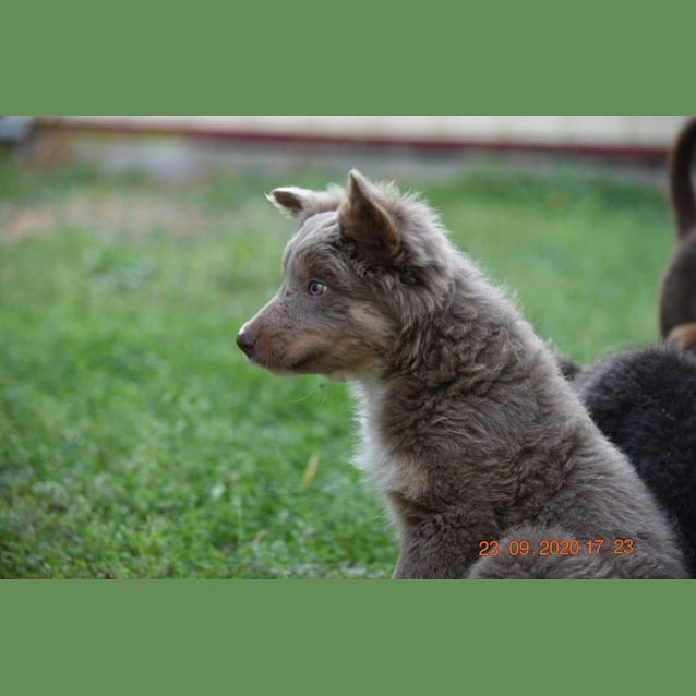 Photo of Yogi