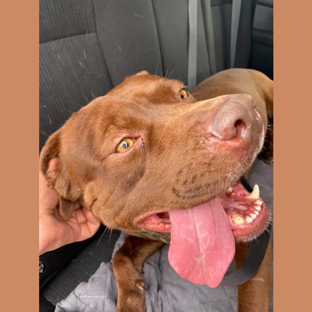 Photo of Bunji Dl2534