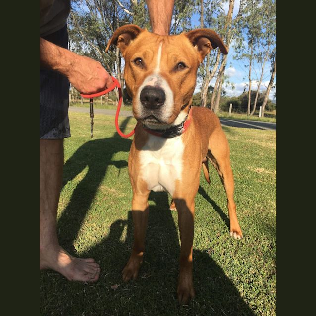 Photo of Stitch Dl2538