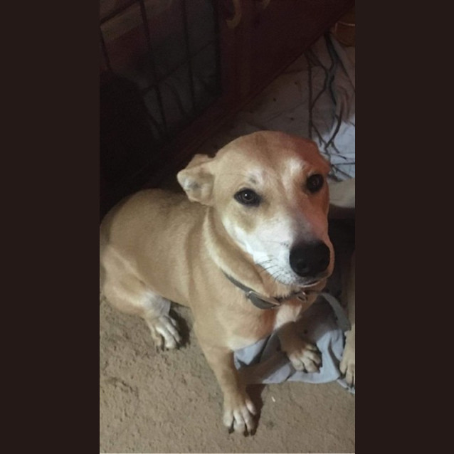 Photo of Rascal
