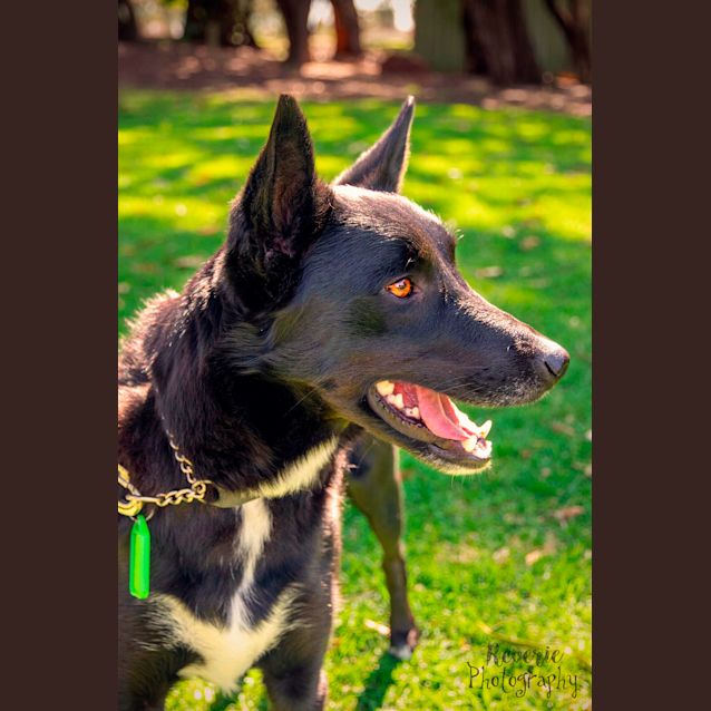 Photo of Molly Dl2464