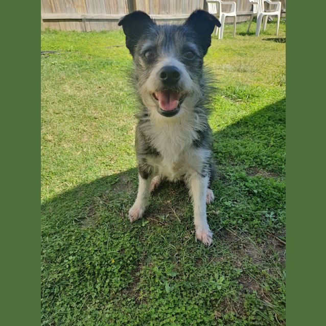 Photo of Molly