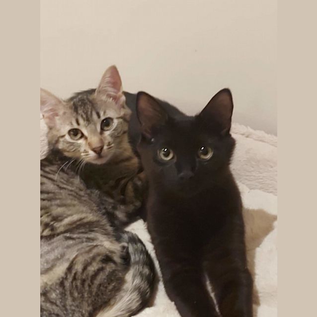 Photo of Salem And Tayla ❤❤