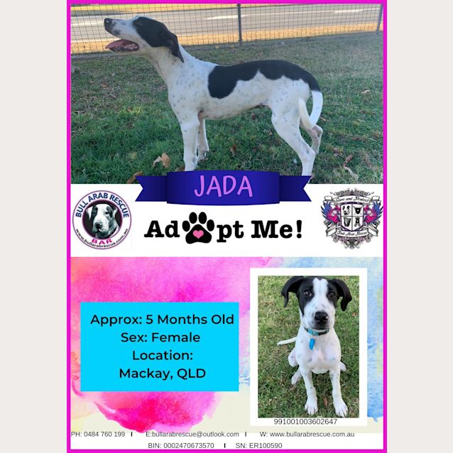 Photo of Jada