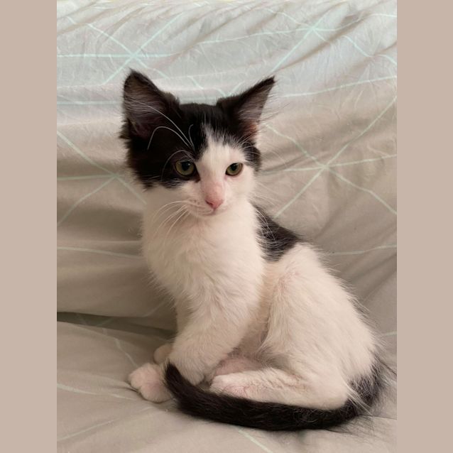 Photo of Bella 