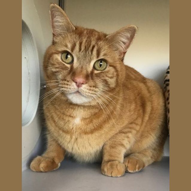 Photo of Jasper