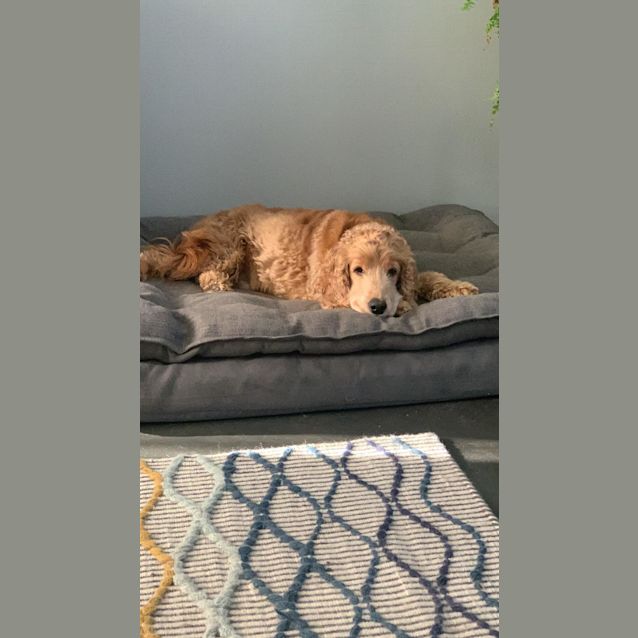 Photo of Winston