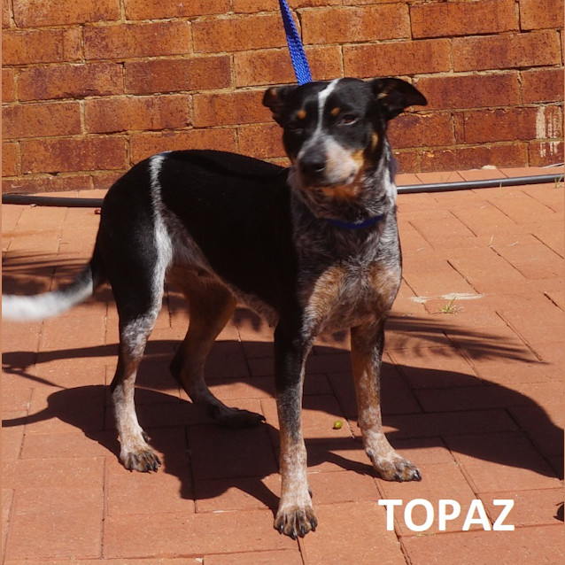 Photo of Topaz