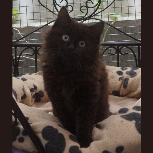 Photo of Fritz