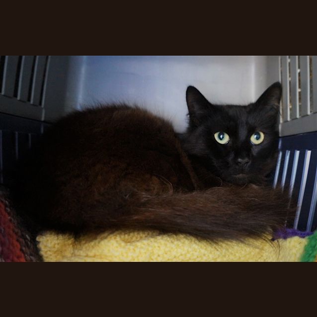 Photo of Lucky