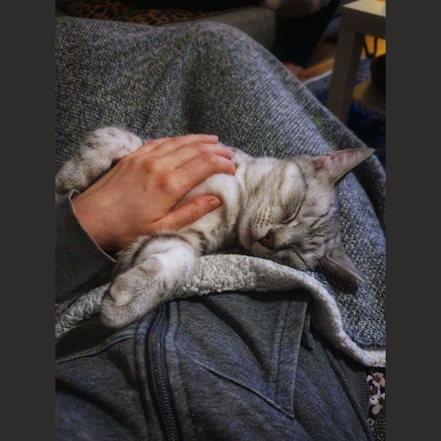 Photo of Nebula ❤