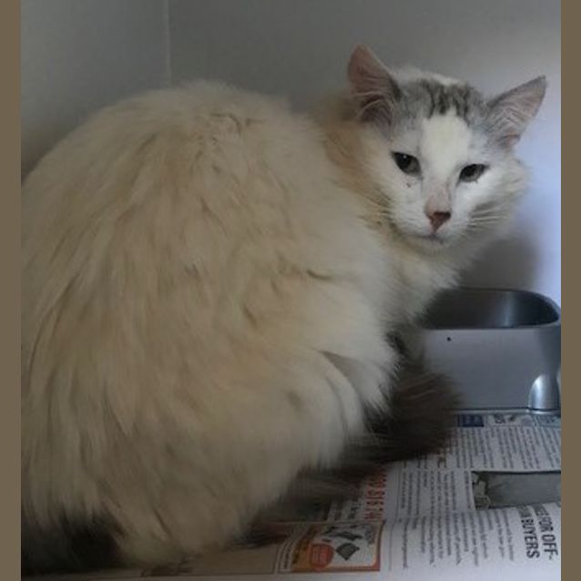 Photo of Olaf