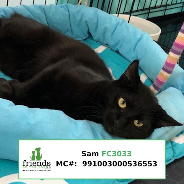 Photo of Purdy And Sam