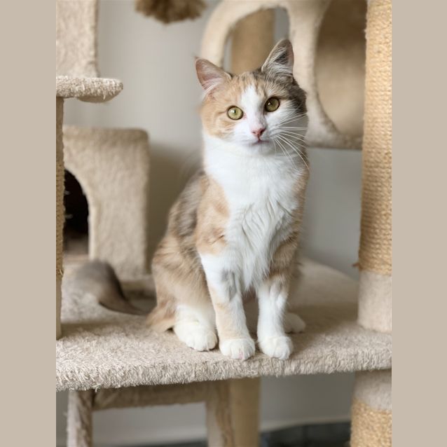 Photo of Caitlin