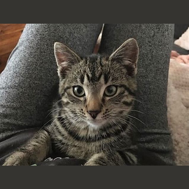 Photo of Ygritte