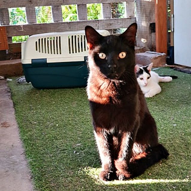 Photo of Kingston 