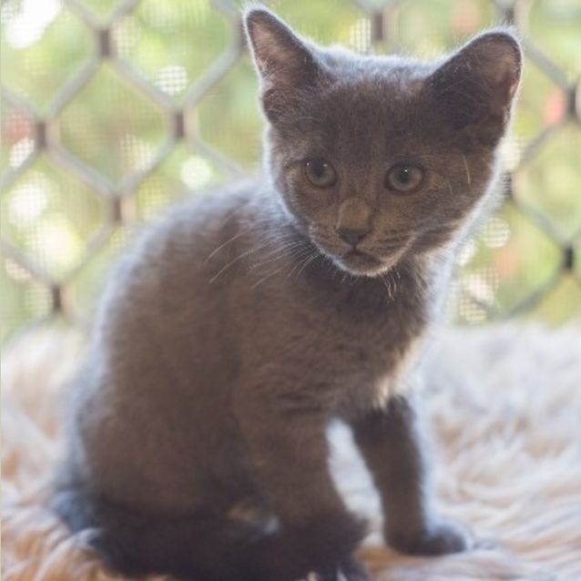 Photo of Zippy