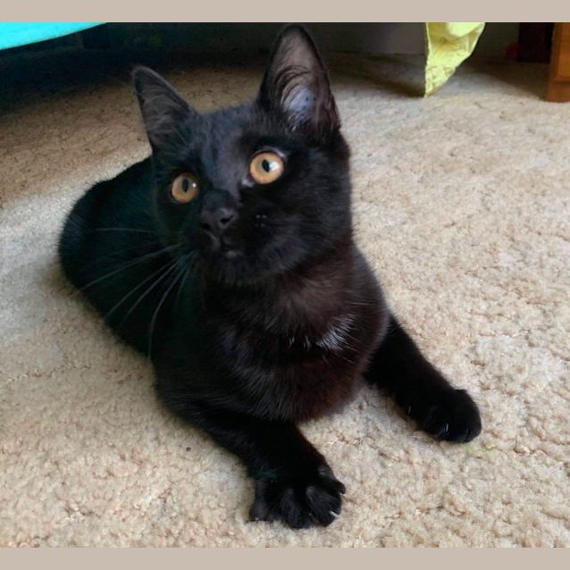 Photo of Bonnie 🐬