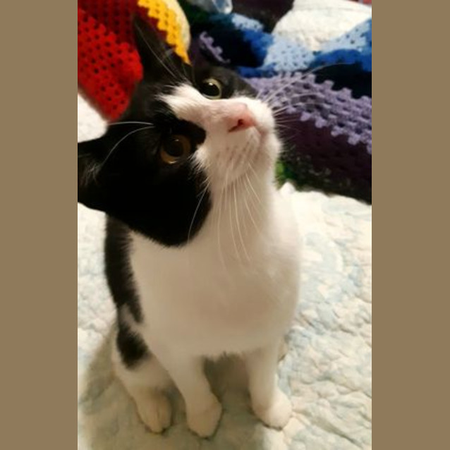 Photo of Gorgeous Jemma