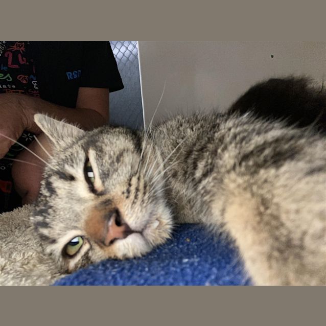 Photo of Mina