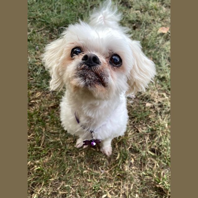 Photo of Charlotte / Lily