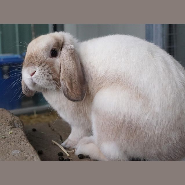 Photo of Jeremiah