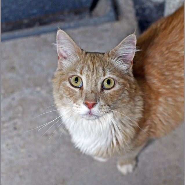 Photo of Arthur