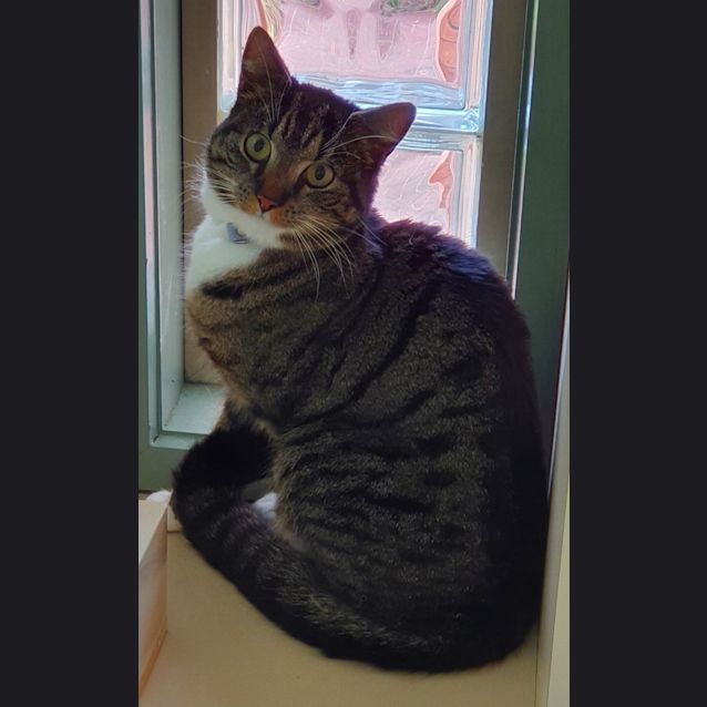 Photo of Calvin