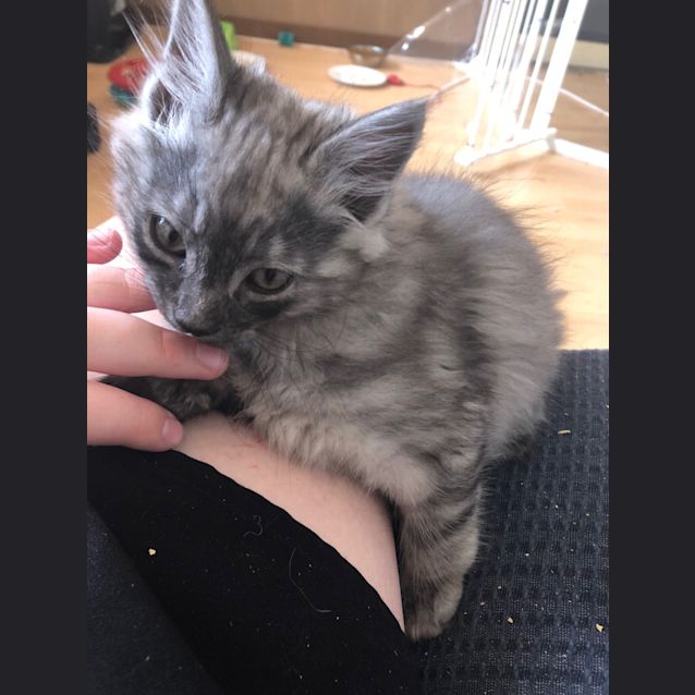 Photo of Hershey