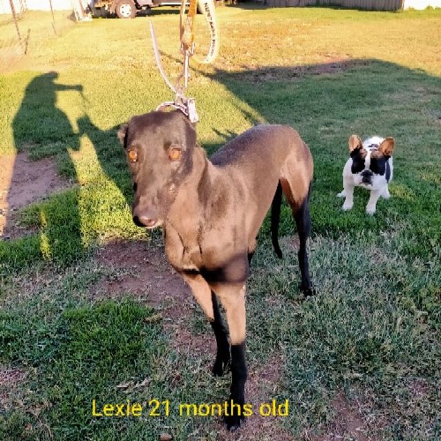 Photo of Lexi
