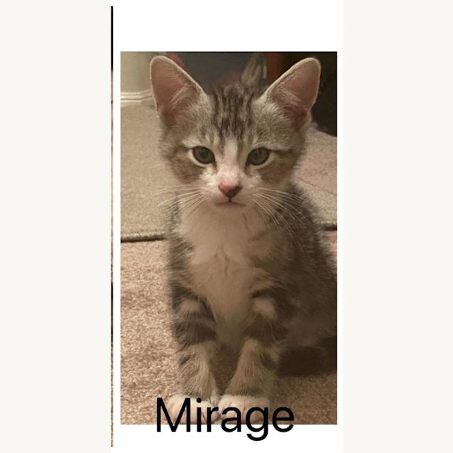 Photo of Mirage