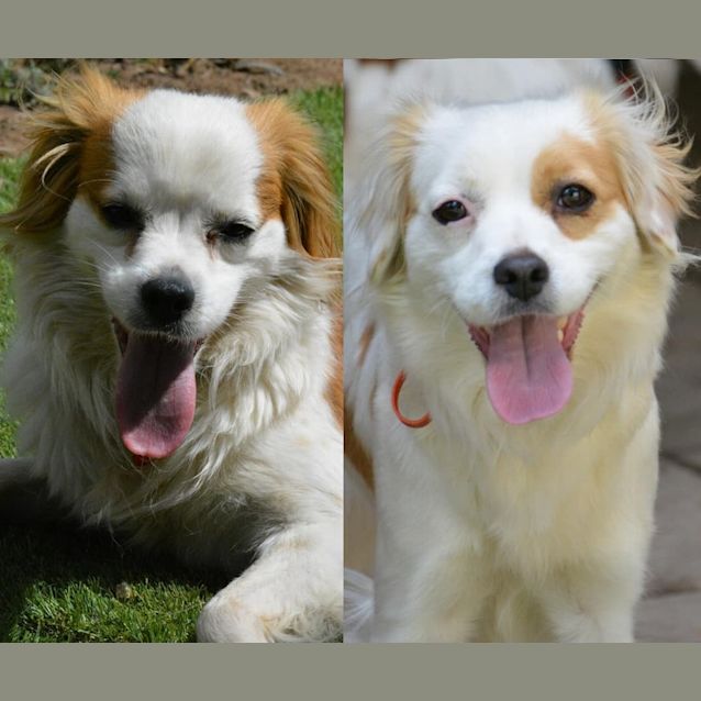 Photo of Marlie & Angel